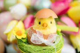 Es ist ostern, was gleichzeitig bedeutet: Ostergrusse Text So Finden Sie Die Richtigen Worte