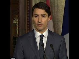 Fake Eyebrows Fake Eyebrows Eyebrows Justin Trudeau