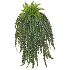 Plantshed delivers hanging plants anywhere in nyc. Nearly Natural Indoor 58 Boston Fern Artificial Hanging Plant 6220 S1 The Home Depot