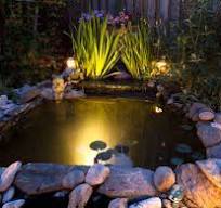 Pond Lights Underwater and Surface Lights ...