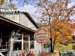 #creatorsearchinsights #muddypond #fypシ #tennessee