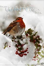 It is seen as a season where crops and plants die off which is, in fact, a widely believed misconception. Winter Wonderland Winter Wonderland Winter Season Winter