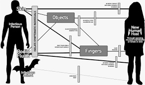 Aerosol transmission recognizes that the spraying of body fluids containing ebola virus directly onto mucous membranes is unlikely to occur in the absence of inhalation of infectious aerosols. Hygiene Programming During Outbreaks A Qualitative Case Study Of The Humanitarian Response During The Ebola Outbreak In Liberia Bmc Public Health Full Text
