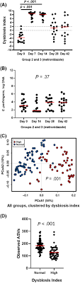 Inflammatory cells infiltrate the walls of the intestinal tract, leading to significant changes in the function of the intestines. Effects Of Metronidazole On The Fecal Microbiome And Metabolome In Healthy Dogs Pilla 2020 Journal Of Veterinary Internal Medicine Wiley Online Library