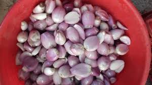 Vota questa ricetta non mi piace affatto. Le Nostre Vostre Ricette Scalogni Sott Olio