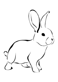 Kleurplaat Konijn Afb 27276 Dieren Tekenen Konijntekening Konijnenkunst