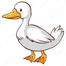 To determine if your eggs contain a living embryo, the most critical feature is the veins. Duck Images Free Vectors Stock Photos Psd