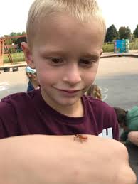 Mary Lake Montessori