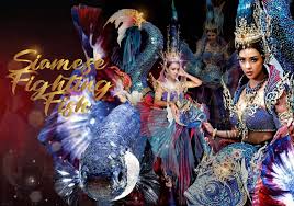 The miss universe organization has been asking the public to help them come up with the best in national costume winner. So Bang Amanda Prepares To Bring The National Costume Thai Fighting Fish To Swim And Compete For The Miss Universe World Today News