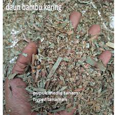 Check spelling or type a new query. Jual Ready Pupuk Daun Bambu Kering 1 Kg Media Tanam Pupuk Daun Bambu Kering Perkg Di Lapak Taniku Tanimu Bukalapak