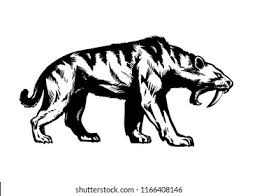 Maybe you would like to learn more about one of these? Saber Toothed Tiger Smilodon Sabertoothed Cat Stock Vector Royalty Free 1166408146