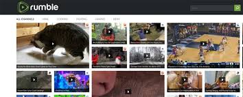 Rumble's monthly user count has experienced rapid growth since july 2020, from 1.6 million monthly users to 31.9 million by the end of the first quarter of 2021. Rumble Takes On Youtube In Battle To Win Over Online Video Creators It Business