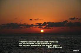 Here Is One Of My Favorite Quotes From Wild There S A Sunrise And Sunset Every Day You Can Choose To Be There For I Sunset Quotes Wild Quotes Sunrise Quotes