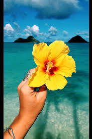 Summer Love In 2020 Hawaii Pictures Summer Aesthetic Beach Aesthetic