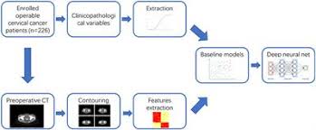 What is the stage of my cancer? Frontiers Development And Validation Of A Deep Learning Radiomics Model Predicting Lymph Node Status In Operable Cervical Cancer Oncology