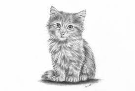 Pin On Art Sketching