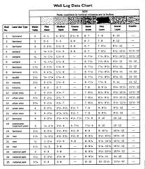 Well Log Data Chart Ms Laura Branch