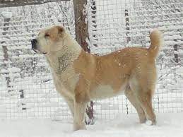 i pinimg com originals 99 da 9e 99da9efd9d6609f