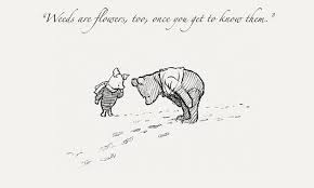 Weeds are flowers, too, once you get to know them. — winnie the pooh (16) don't underestimate the value of doing nothing, of just going along, listening to all the things you can't hear, and not bothering. Winnie The Pooh Quotes To Live By