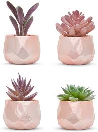 Office decor for women desk plant sets can provide a stylish solution being both compact and carefree. Amazon Com Nordik Set Of 4 Desk Plants In Rose Gold Office Decor For Women Indoor Living Room Bedroom Home And Desk Decor Pink Faux Succulents Geometric Ceramic Planters Kitchen Dining