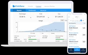 What i want to do is to use the quickbooks api to import all expenses and revenues, and then allocate those to various products defined in my it's similar for expenses, as you can see on the following quickbooks diagram. Quickbooks Time Tracking Clicktime