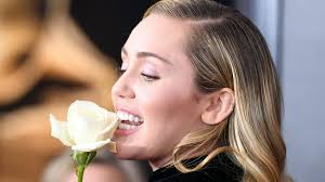 Brit Awards 2018: Stars to wear white rose pins