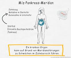 Zahnschema Welche Zahn Organ Beziehungen Und Wechselwirkungen Gibt Es
