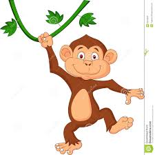 Image result for monkey picture cartoon