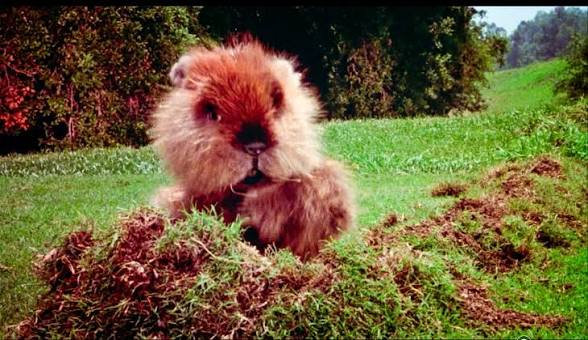 The story behind Caddyshack | The Castle Pines Connection