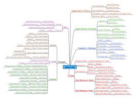 List Of Skeletal Muscles Of The Human Body Wikiwand