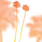 Season Opening Reception event in Rancho Mirage, CA