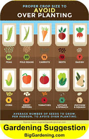Just How Much To Plant Per Person Squarefootgardening Gardeningismytherapy Gardeningideas In 2020 Vegetable Garden Design Vegetable Garden Home Vegetable Garden