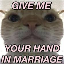 Pin By I On Memes In 2020 Memes Give It To Me Animals