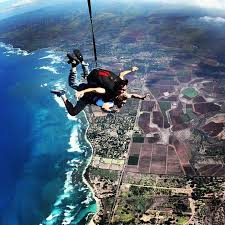 We welcome your arrival between 8:30am to 3:00pm. Skydiving In Hawaii Picture Of Island Seas Resort Grand Bahama Island Tripadvisor