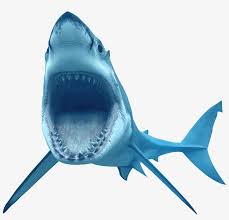 Png Image Shark Png In This Page You Can Download Png Great White Shark Shark Transparent Background Transparent Png 2357x1923 Free Download On Nicepng Download the shark, animals png on freepngimg for free. png image shark png in this page you
