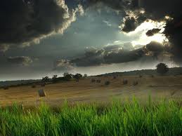 We have an extensive collection of amazing background images carefully chosen by our community. Nature Pc Wallpapers Wallpaper Cave