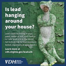 Image result for Lead Poisoning