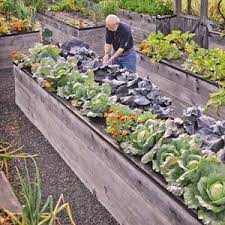 Learn how to build raised garden beds with this diy tutorial by fiskars the ultimate guide to planning, building and planting raised garden beds. 12 Raised Gardens Ideas Raised Garden Beds Raised Garden Garden Beds