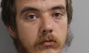 Lakeland Man Arrested for Felony Animal Cruelty