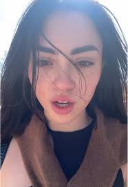 Descubre Notre Dame: Un Emblema de París