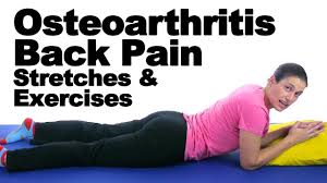 Pin On Back Pain Exercises Stretches