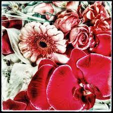 Floral Wilt Floral Easter Weekend Flower Power