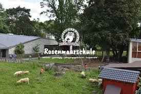Die Rosenmaarschule Koln Hohenhaus