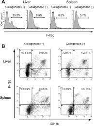 Characterization Of Two F4 80 Positive Kupffer Cell Subsets By Their Function And Phenotype In Mice Journal Of Hepatology