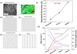 19, with participation from partner companies, community members, and baywa r.e. Bioinspired Fractal Electrodes For Solar Energy Storages Scientific Reports