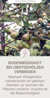 Bodenmudigkeit Bei Obstgeholzen Vermeiden Pflanzen Straucher Garten Obstgeholze