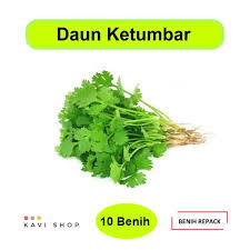 Русский · english (uk) · українська · suomi · español. Jual Benih Bibit Biji Daun Ketumbar Repack Terbaru Juni 2021 Blibli