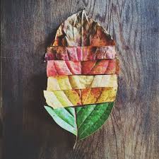 Signs Of The Seasons Codyhanson Vsco Grid Creative Photos Autumn Photography Artsy Photos