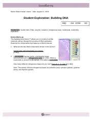 Click the button below to get instant access to dna, or deoxyribonucleic acid, is a biomolecule, which serves as the blueprint of living organisms. Building Dna Gizmo Pdf Name Date Student Exploration Building Dna Inq 16 Com Vocabulary Double Helix Dna Enzyme Mutation Nitrogenous Base Nucleoside Course Hero