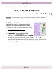 Explore learning dna gizmo answer key building dna explore learning gizmo answer key september is a great time. Of Nitrogenous Bases On The Left Hand Side Of The Dna Molecule And The Right Course Hero